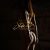 MASHA-TOP-ESCORT-SEX-5