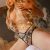 LUNA-ESCORT-BRAZILIAN-9