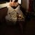 KARINA-LITHUANIAN-ESCORTS-3 KARINA-LITHUANIAN-ESCORTS-3